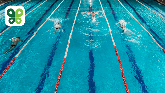 People swimming laps in a pool.